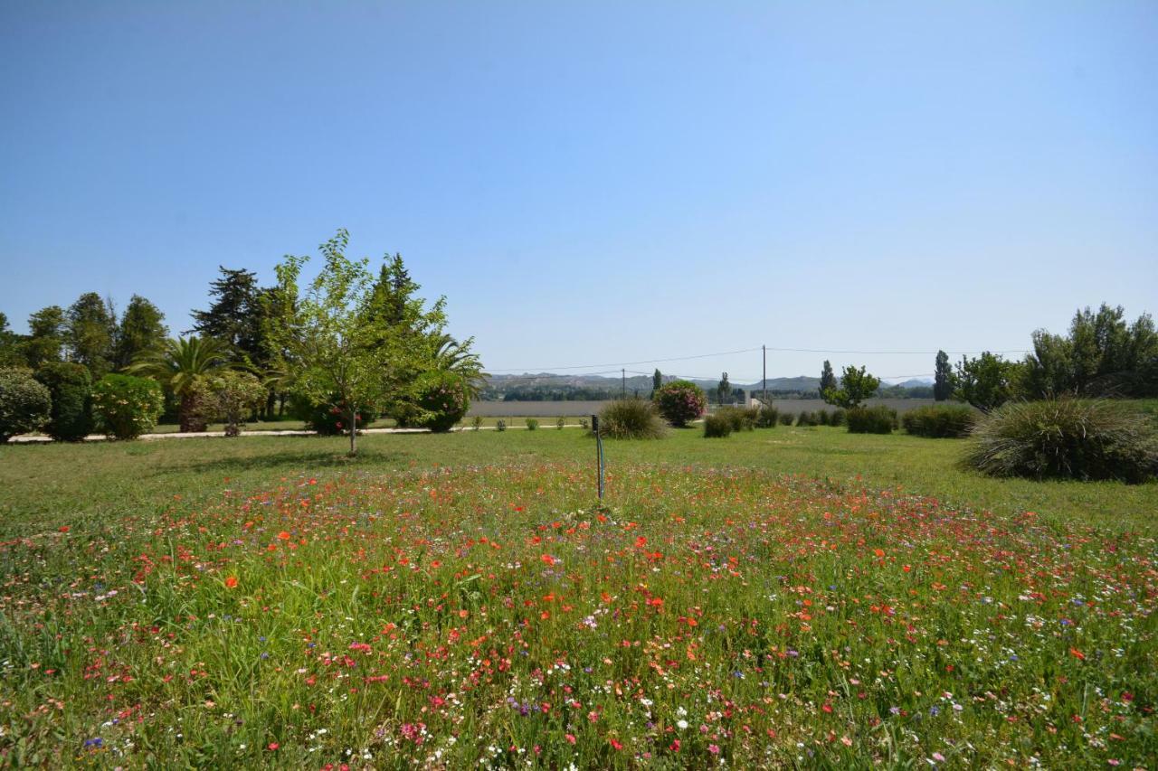 La Bastide De Luson Villa 4 Chambres Spa Sauna Piscine Chaufee Boulodrome Maussane les Alpilles Dış mekan fotoğraf